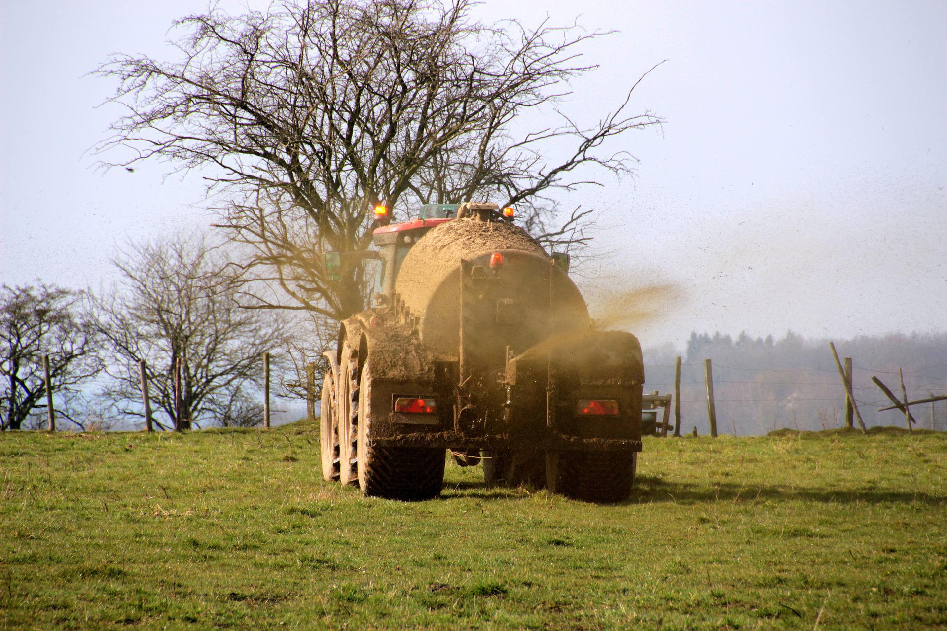 ¿Sabías que se puede reutilizar los residuos de la industria papelera y de la ganadería para obtener superfertilizantes más eficientes y más respetuosos con el medio ambiente y con la salud, gracias a investigaciones del ISQCH?