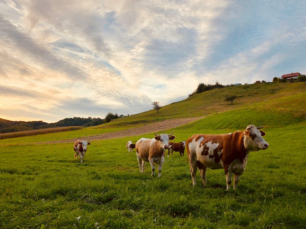 76 Congreso Anual de la Federación Europea de Ciencia Animal