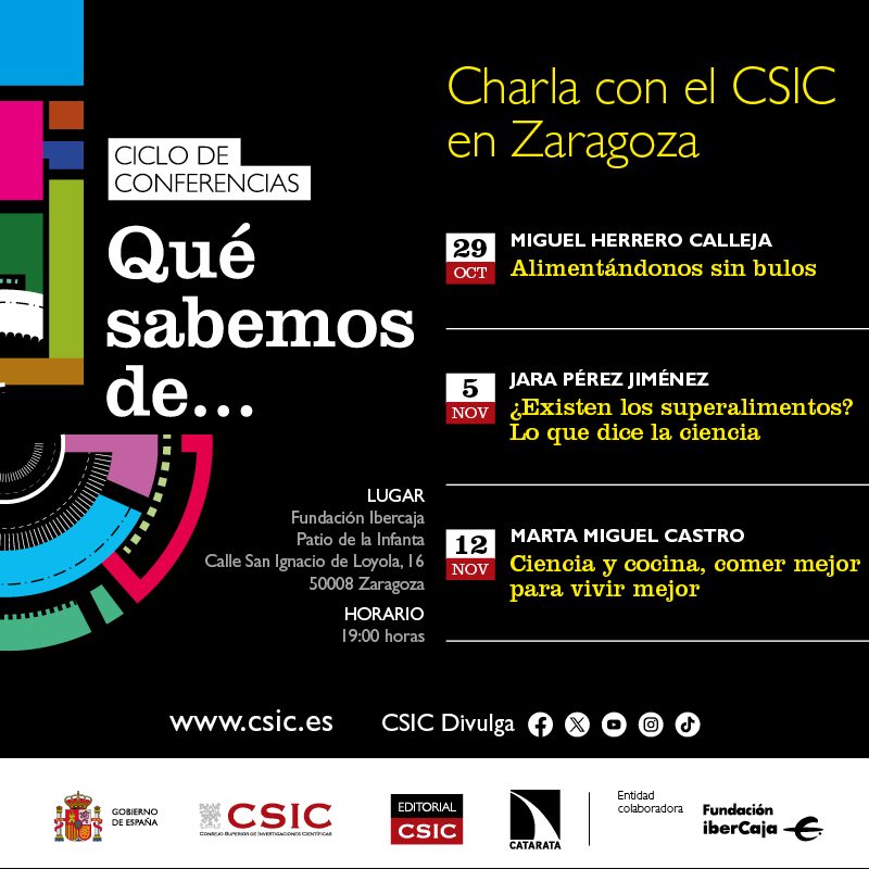 CSIC Ciclo de Conferencias CSIC Ciclo de Conferencias
