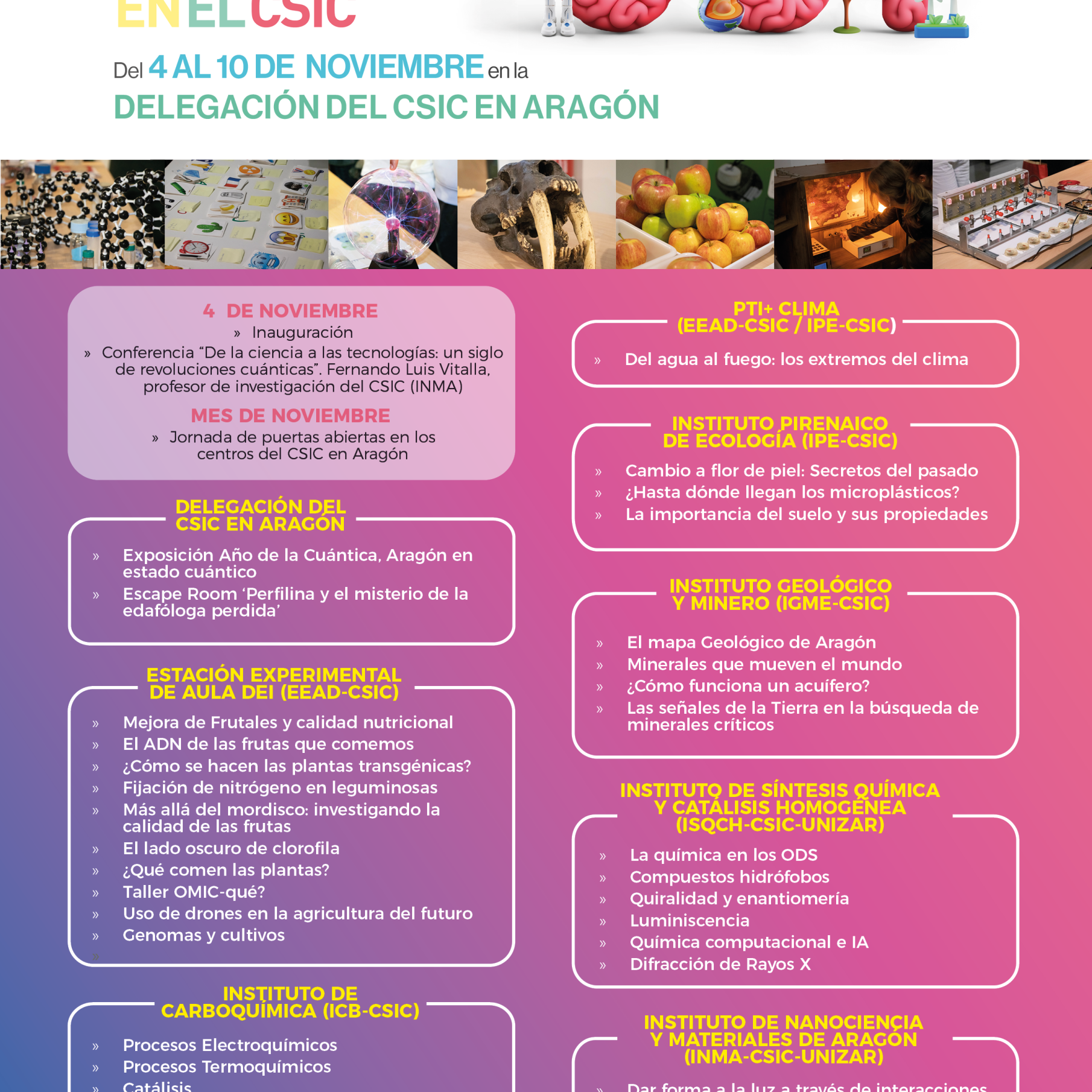 Cartel-SC252_Araid-20A Cartel-SC252_Araid-20A