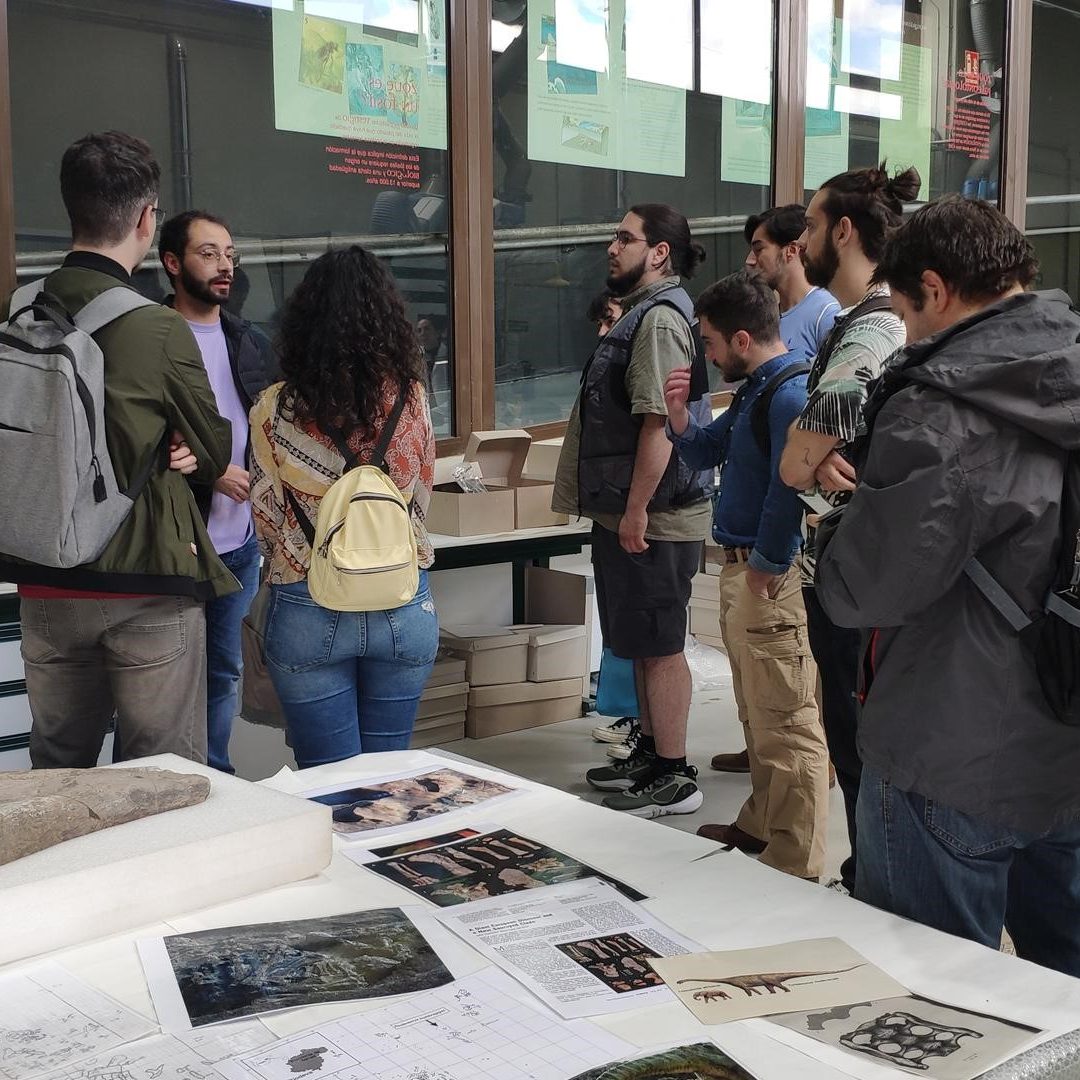 Dinopolis Entresijos Dinopolis Entresijos