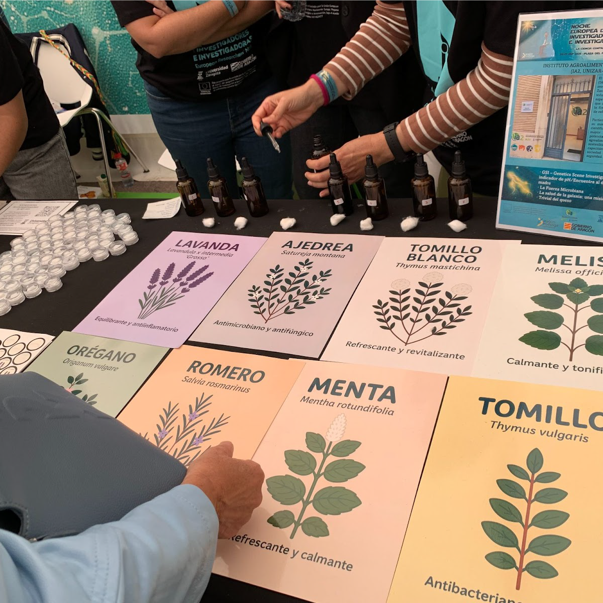 poctefa-caruso.eu poctefa-caruso.eu