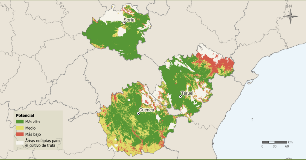 ¿Sabías que el CITA ha desarrollado un sistema pionero para evaluar montes según su uso productivo?