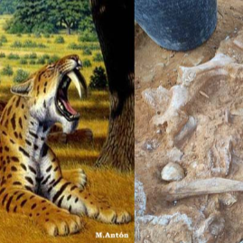 actividad 11 f dinopolis