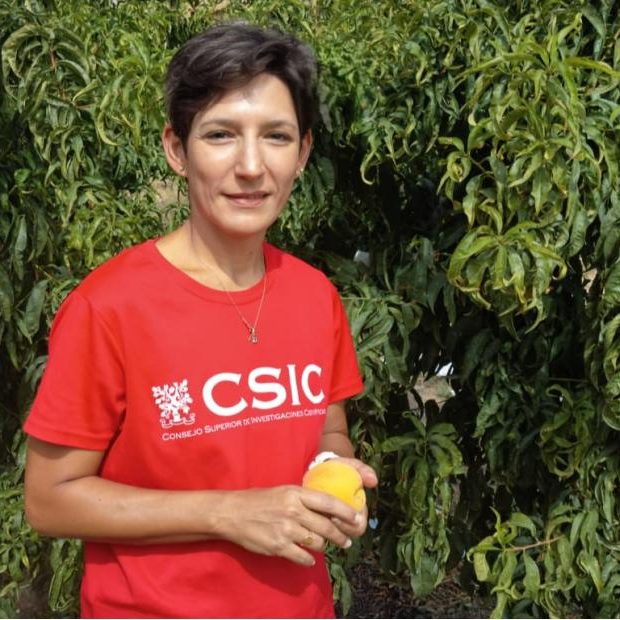 del campo a la mesa actividad csic 11f