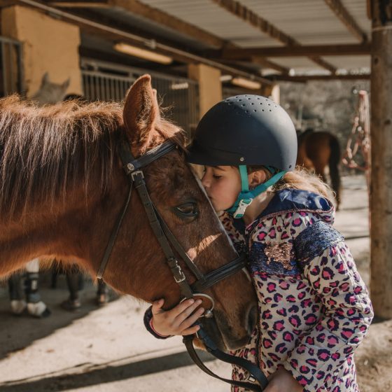 terapia con caballos aragon