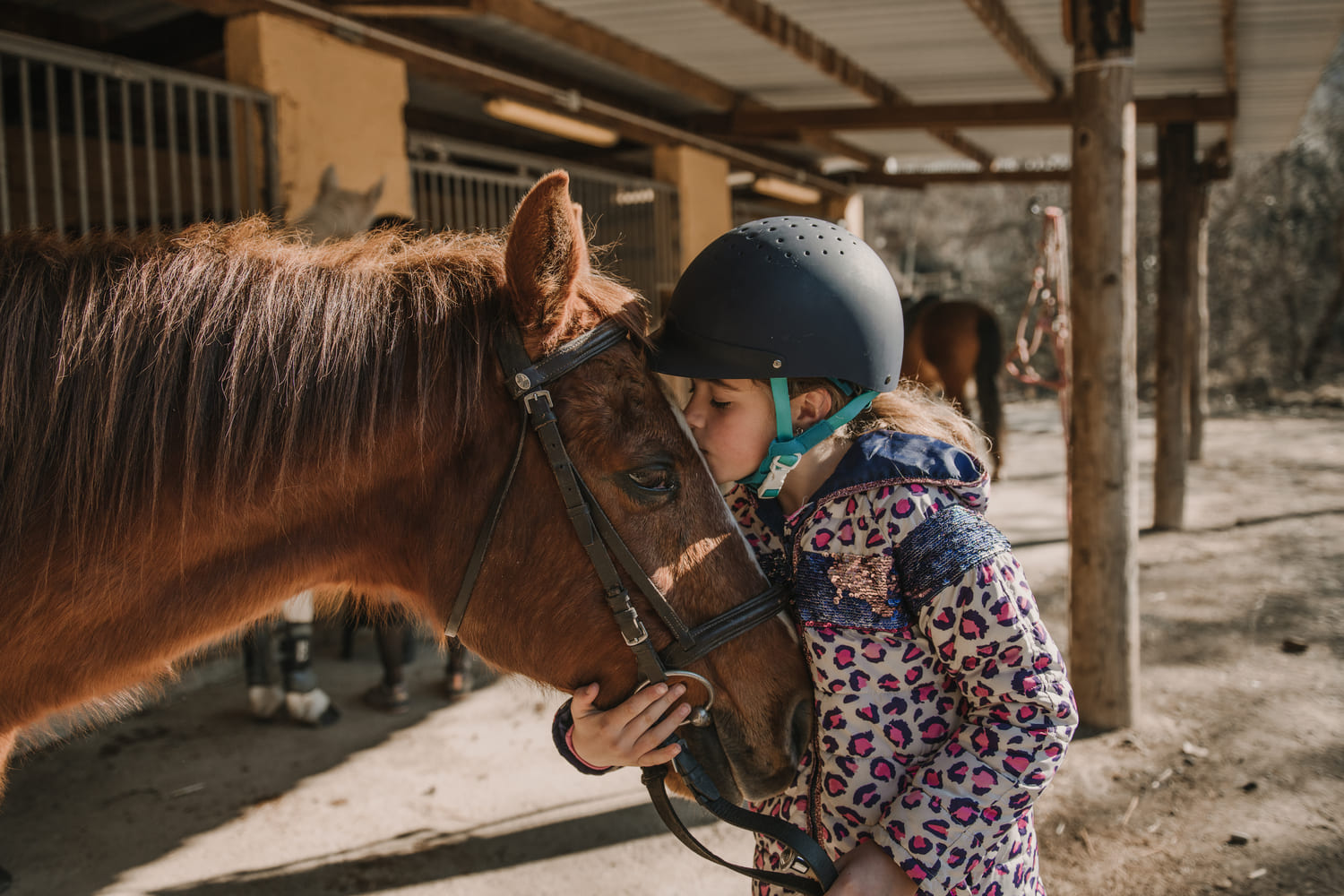 ¿Sabías que Aragón es pionera en Terapias Asistidas con Caballos?