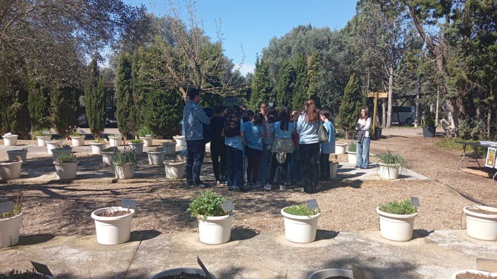 cita aragon campeonato cientifico