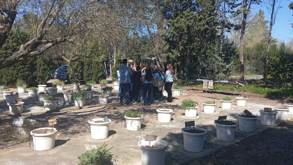 actividad CITA dia internacional de la fascinacion por las plantas