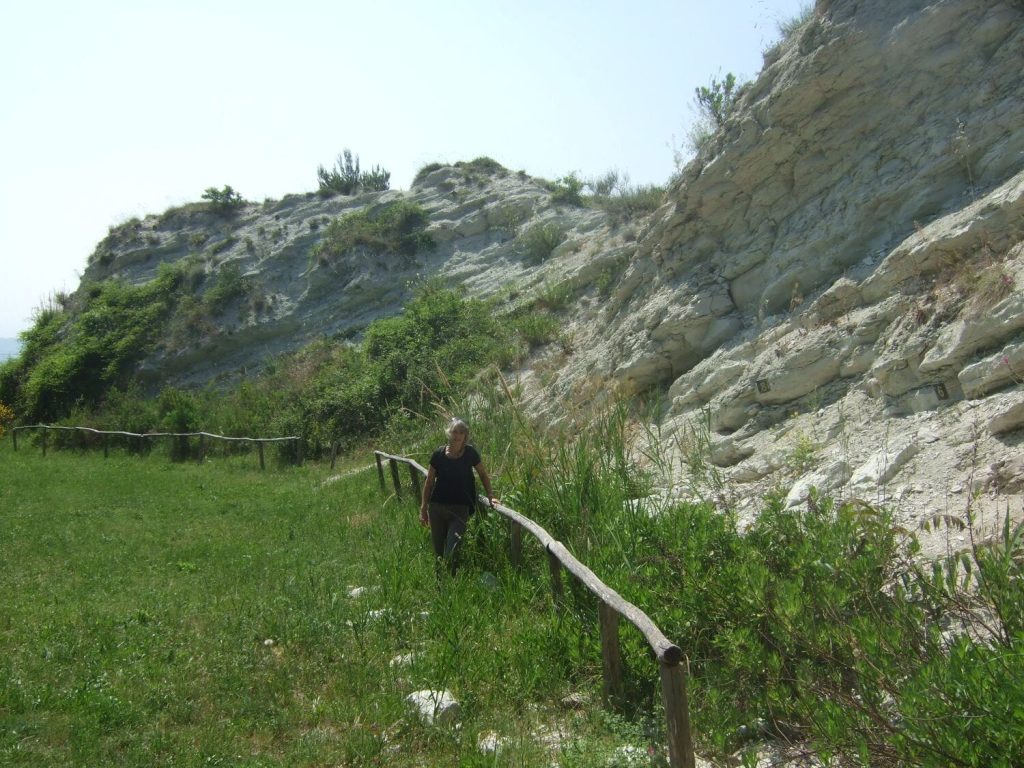 que pasó con la vida marina