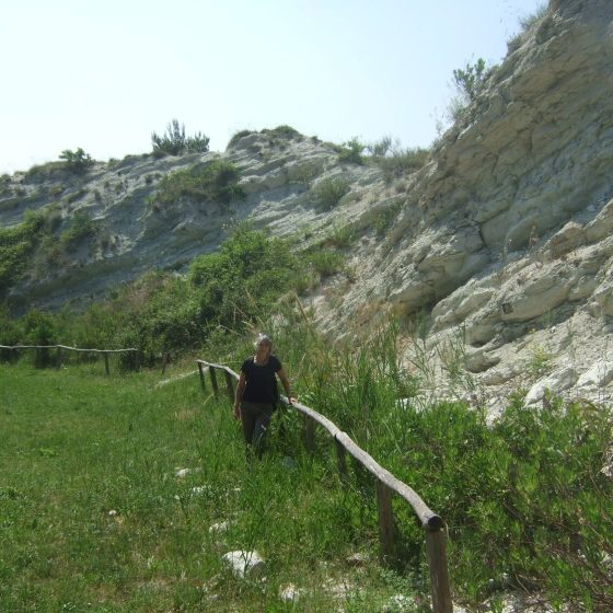 que pasó con la vida marina