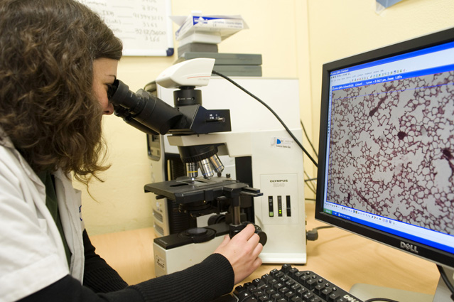 NANBIOSIS – Nodo Zaragoza (CIBER-BBN / UNIZAR)
