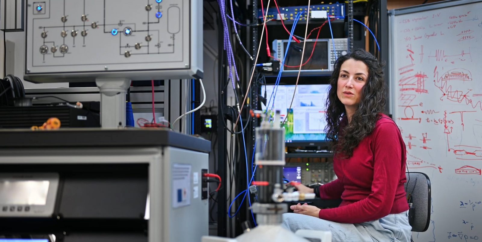 Investigadora del CSIC recibe el Premio Nacional de Investigación para Jóvenes 2025