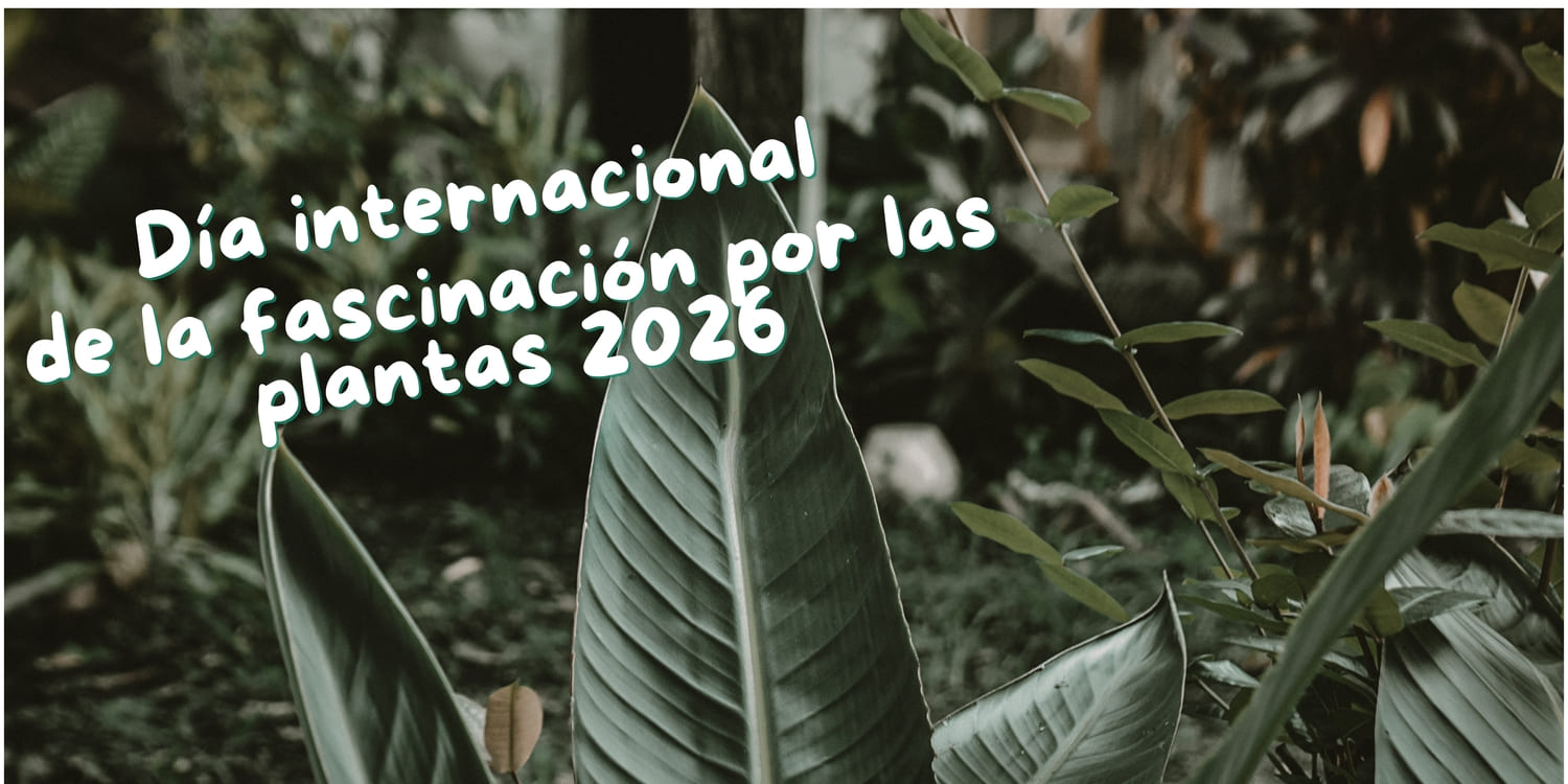 Aragón celebra el Día Internacional de la Fascinación por las Plantas 2026