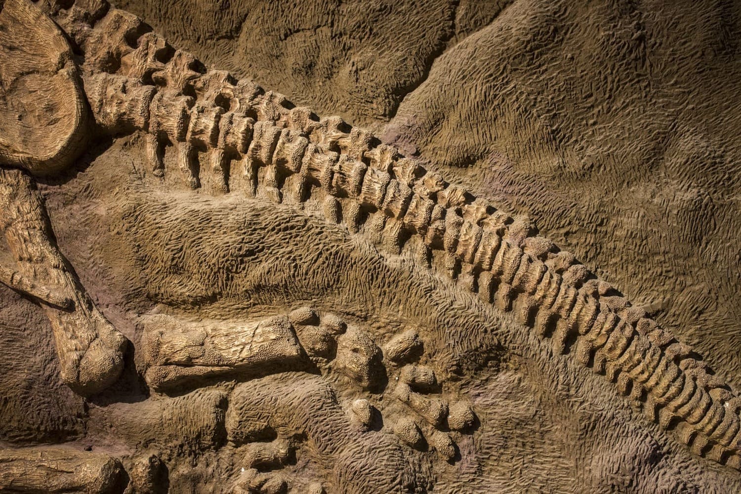 El nuevo dinosaurio herbívoro estudiado desde Aragón