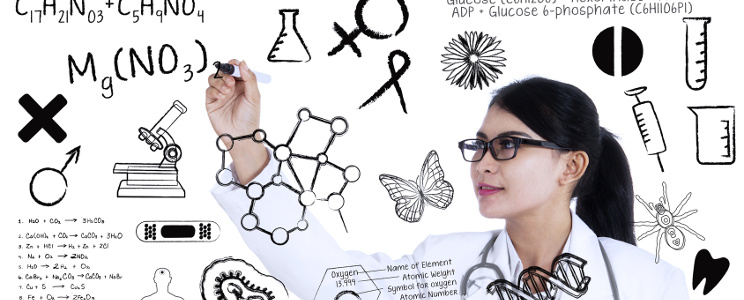 Taller: Acciones Marie Sklodowska-Curie, Proyectos Postdoctorales”