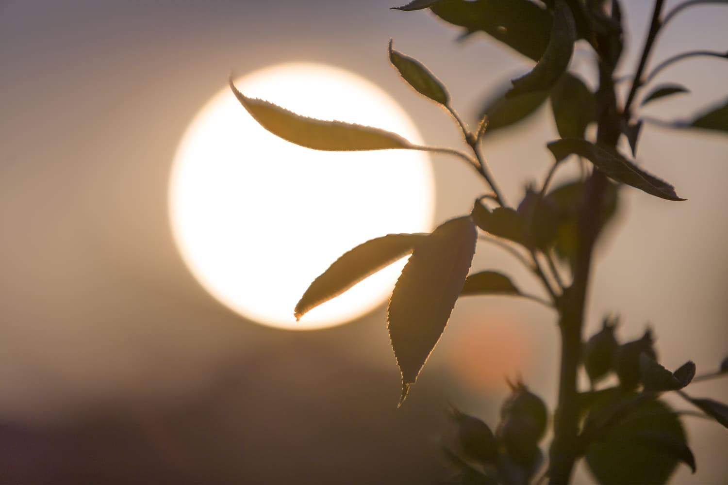 El 29 de abril, la oportunidad perfecta para preparar la observación del gran eclipse solar de agosto