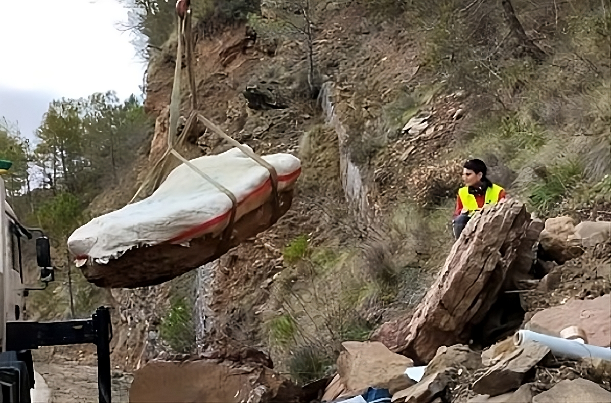 Descubren huellas fósiles de mamíferos de hace 30 millones de años en Huesca