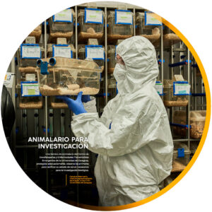 Animalario para investigación