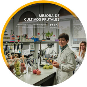 Mejora de cultivos frutales