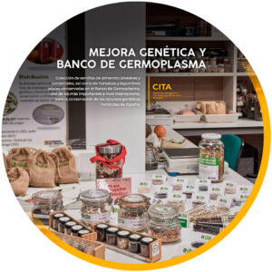 Mejora genética y Banco de Germoplasma